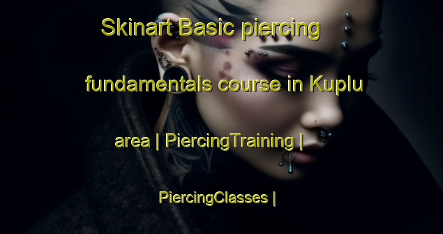 Skinart Basic piercing fundamentals course in Kuplu area | PiercingTraining | PiercingClasses | SkinartTraining-Turkey